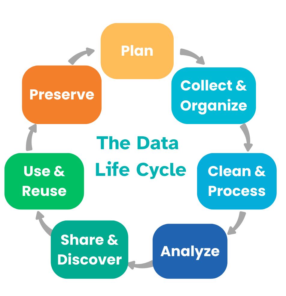 The data life cycle